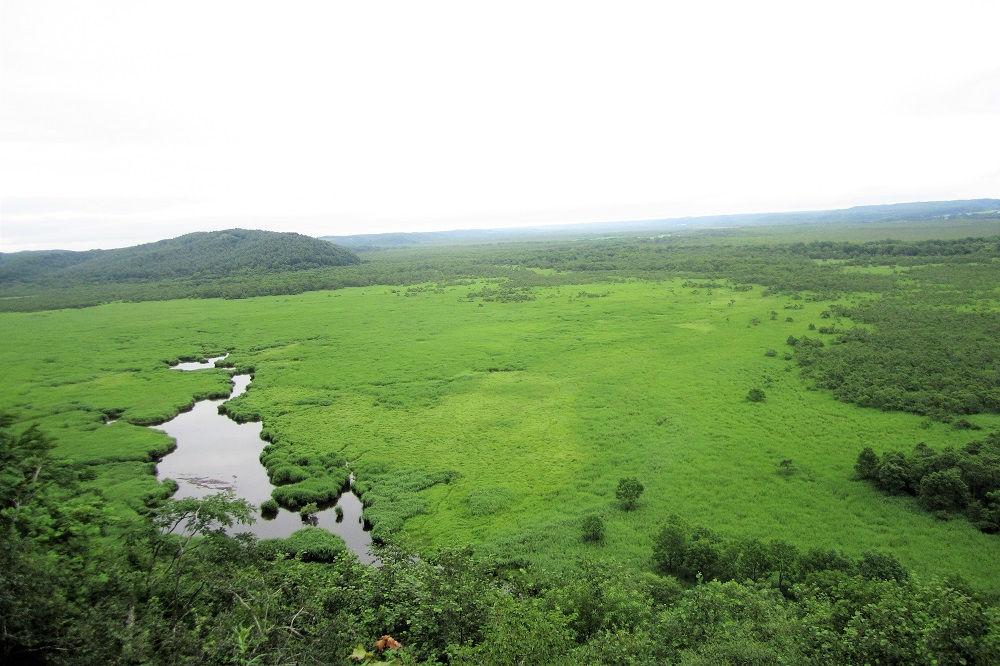 釧路湿原（コッタロ展望台）